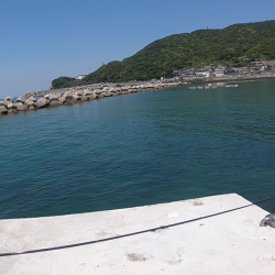 昼寝日和の波止場ビール♫